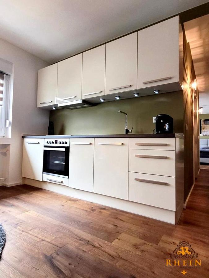 Top Modernes Rhein Apartment Vallendar Mit Balkon Luaran gambar